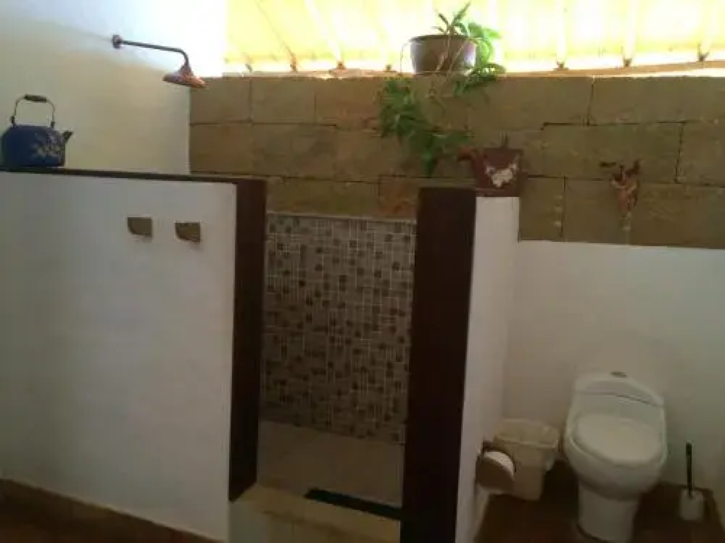 Arapaima B&B