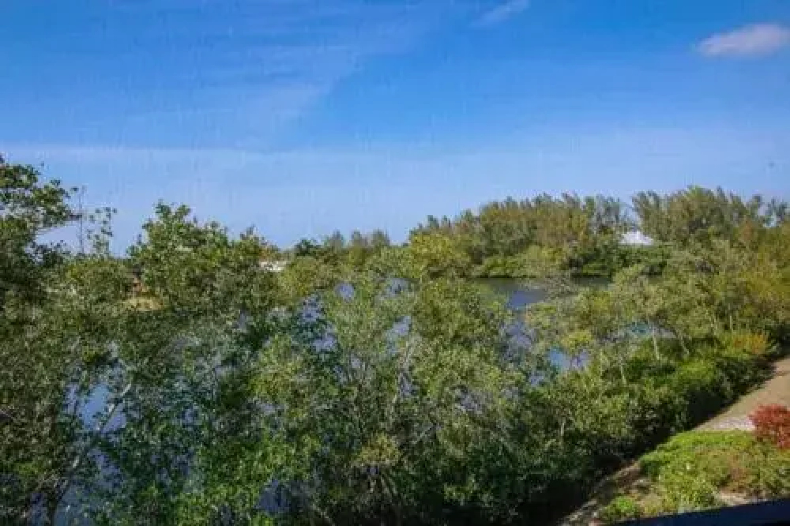 Lake Palms