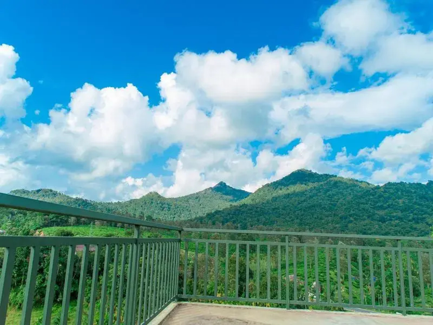 Green Peace Holiday Home