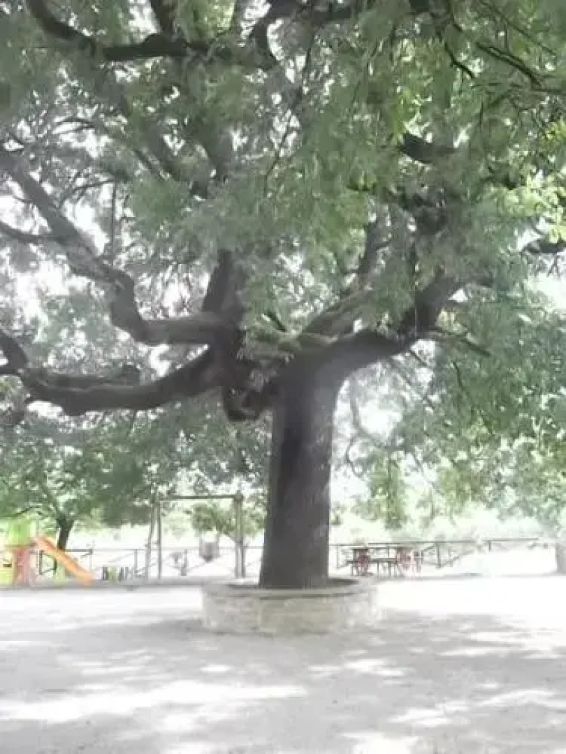 Il Casale della Quercia