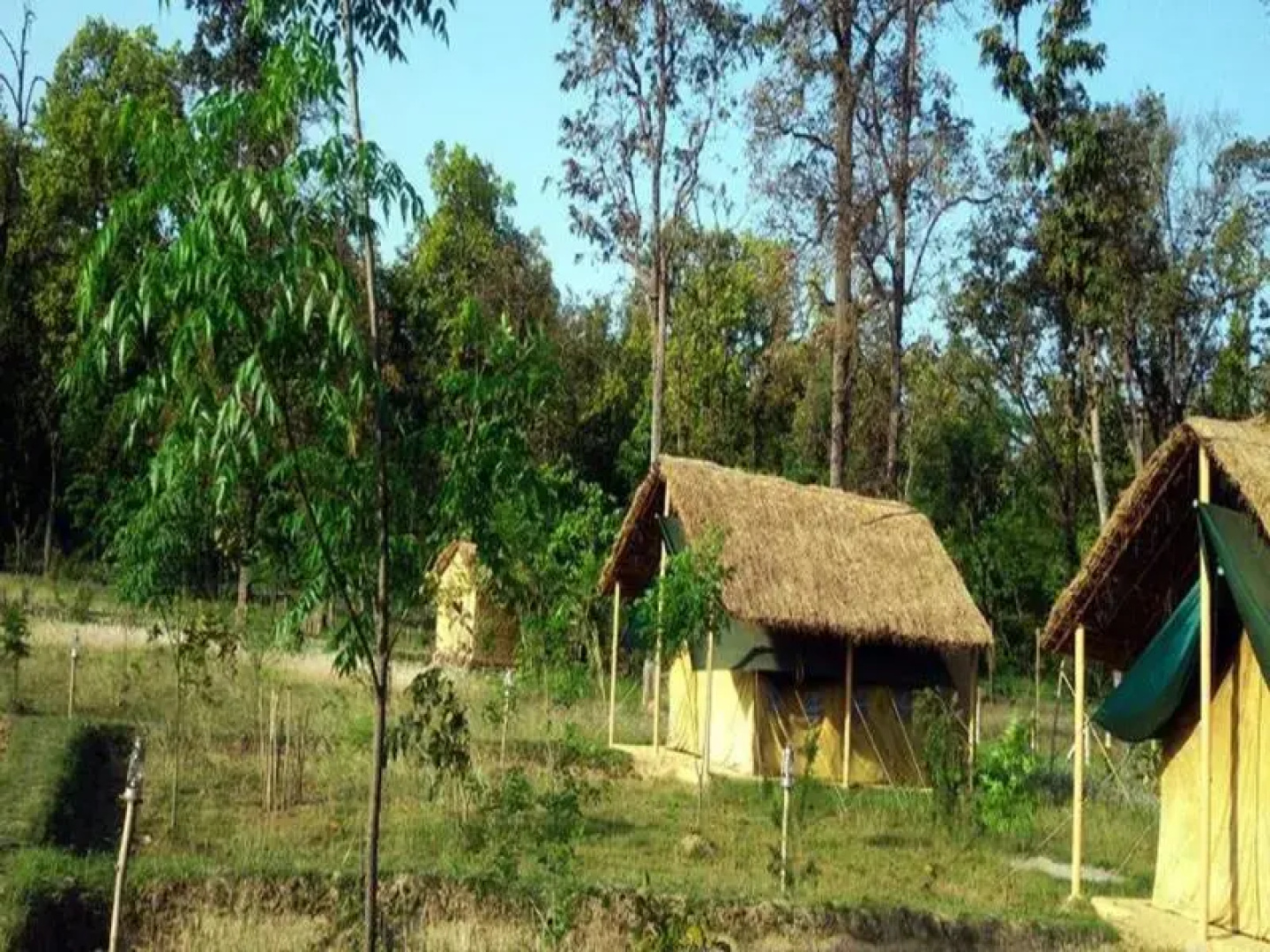 Karnali Jungle Camp