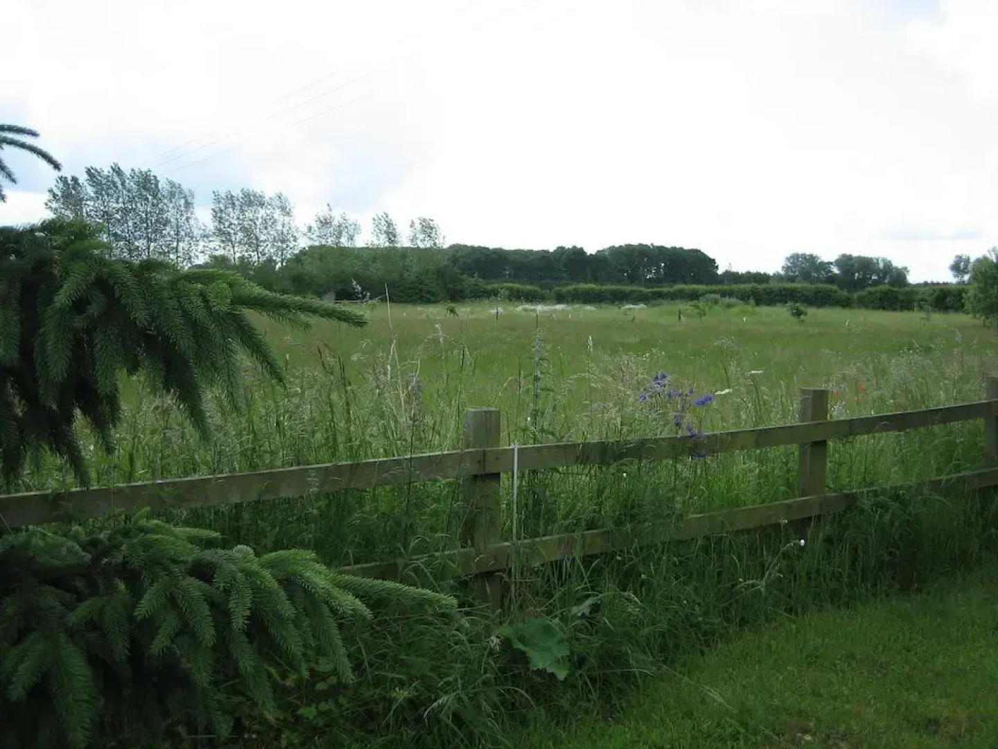 The Mohair Farm BB