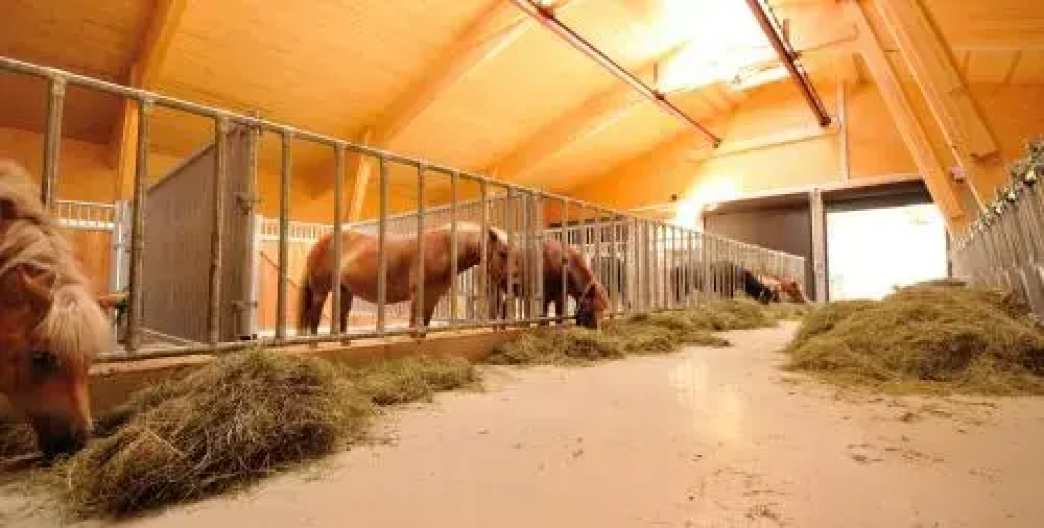 Bodenhof Ferienwohnungen