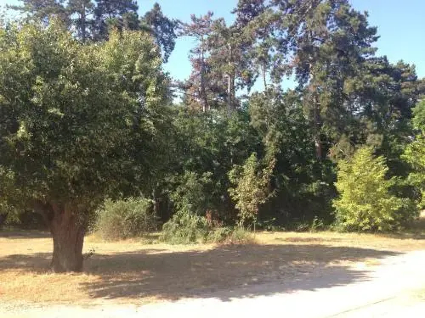 Csendes Apartman