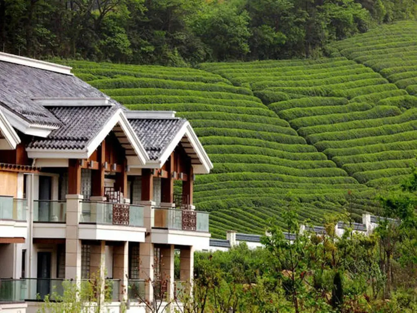 Yuyao Yangming Hot Spring Resort