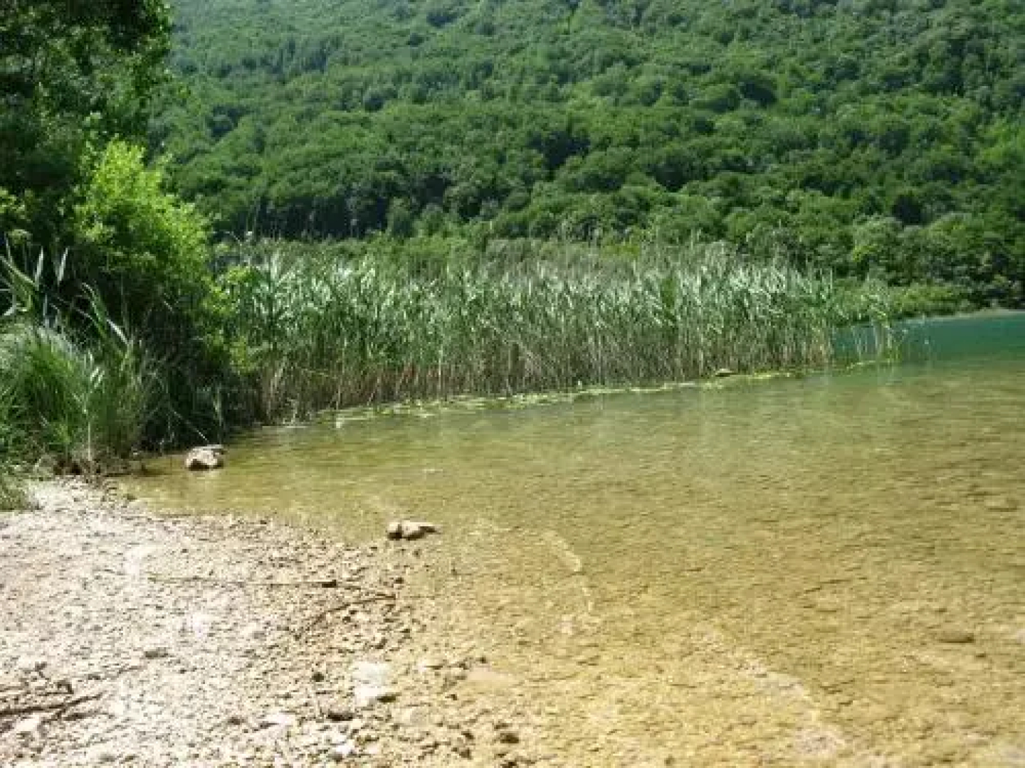 Guest house Boračko Lake
