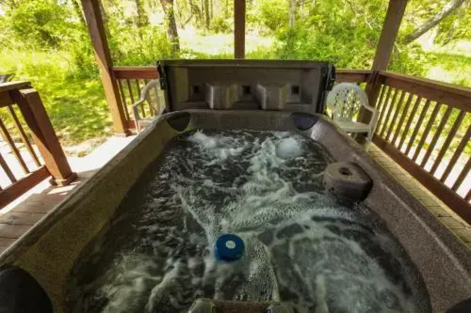 Coyote - Hocking Hills