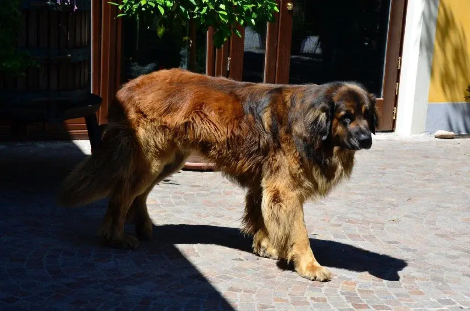 Agriturismo La Montina