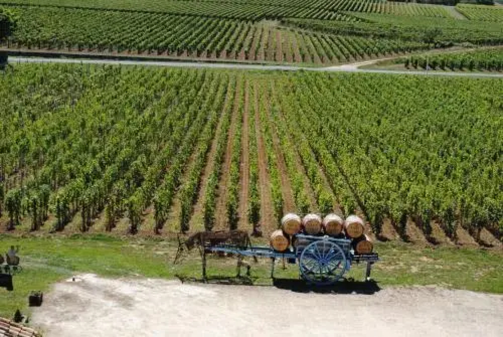 Chateau Haut-Sarpe