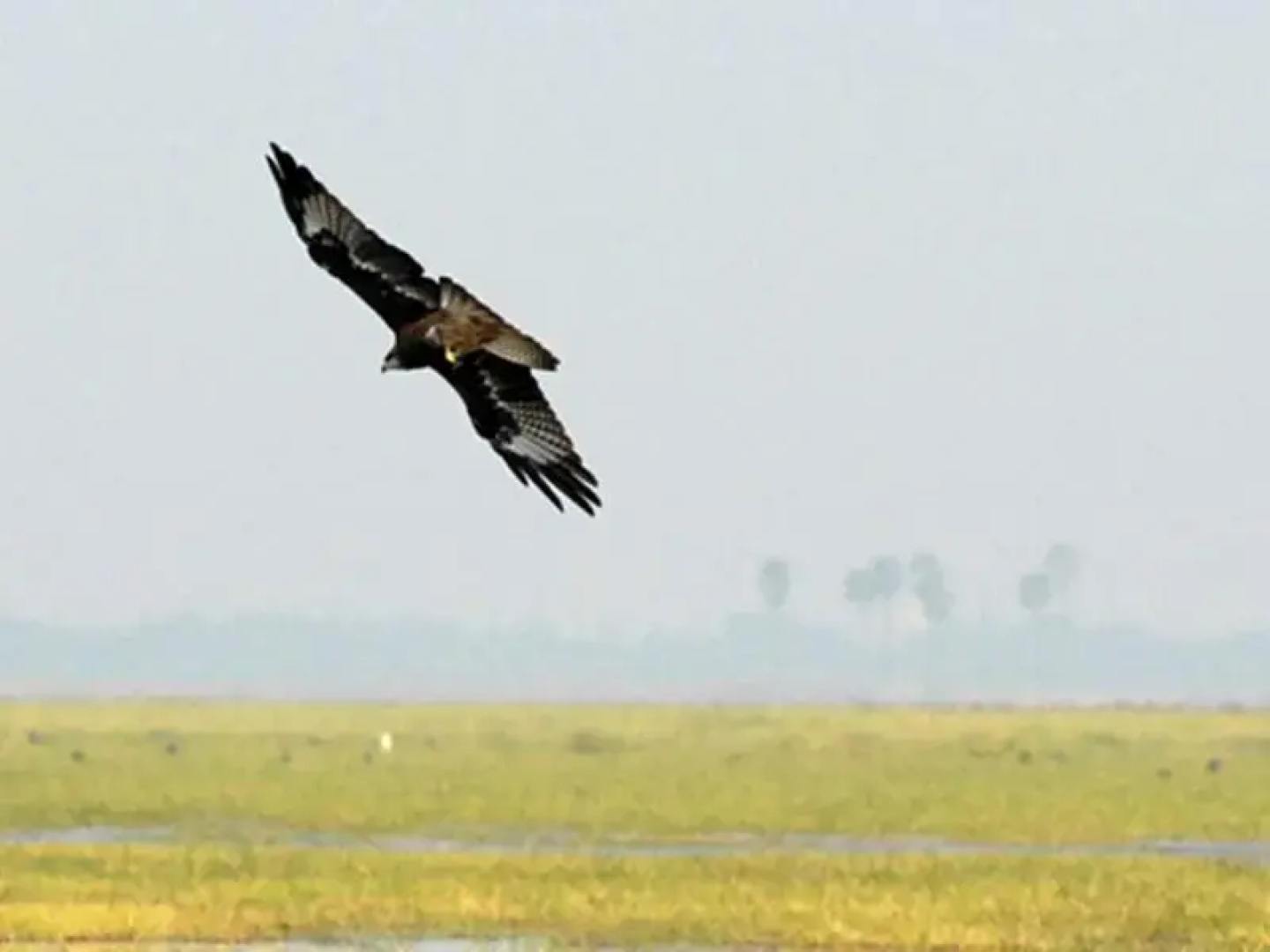 Moe Yun Gyi Wildlife Sanctuary & Wetlands Resort