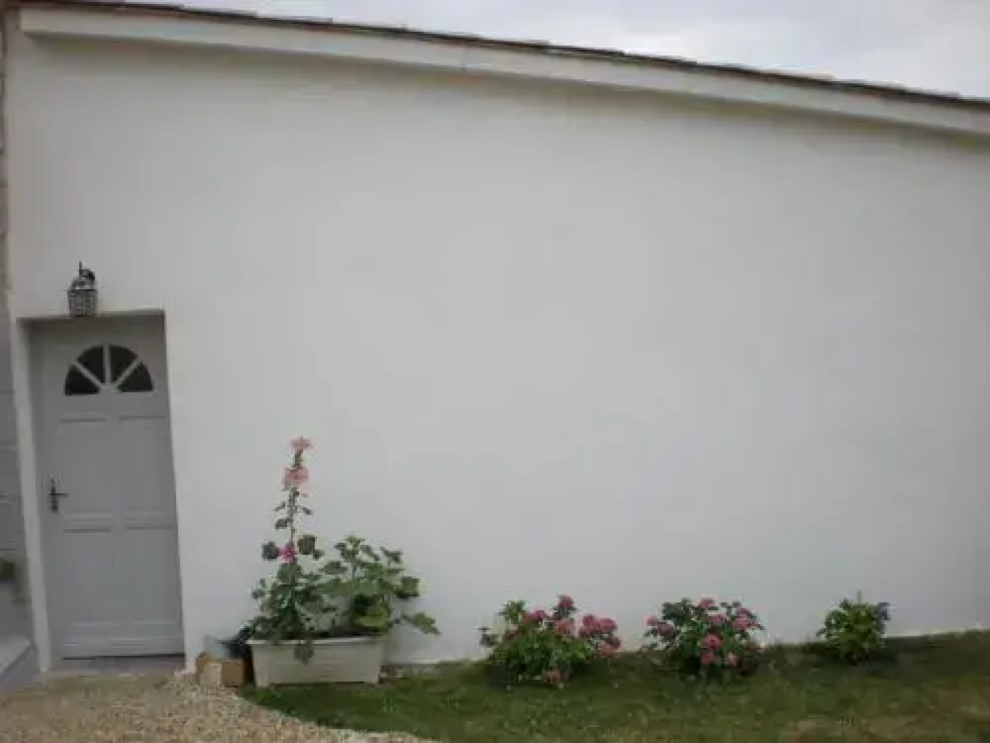 La Vigne Près De Saint Emilion