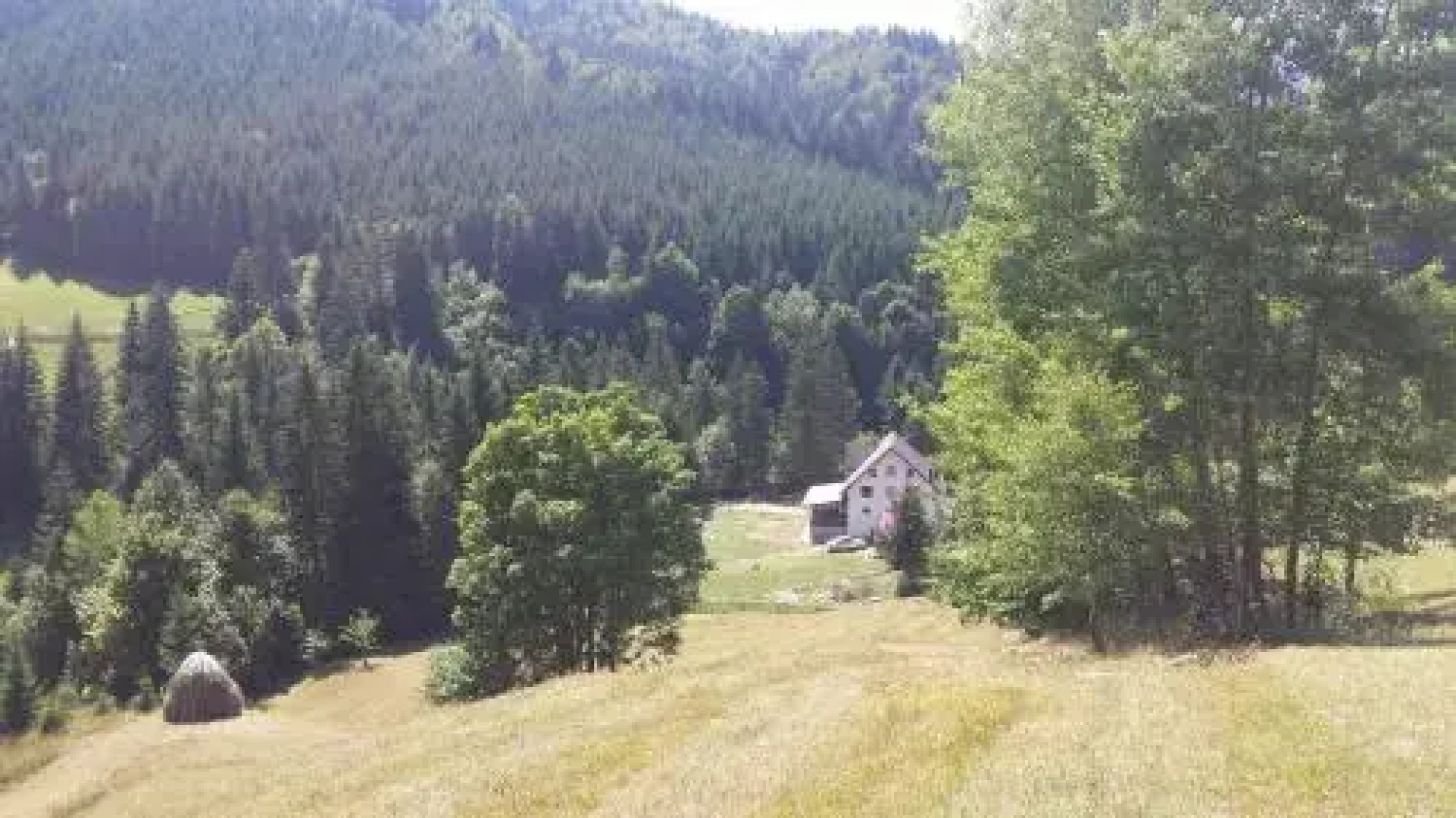 BUKOVINA