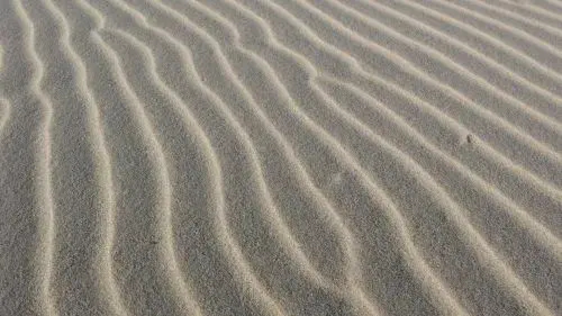 Joussac Côté Plage - Protocole sanitaire strict