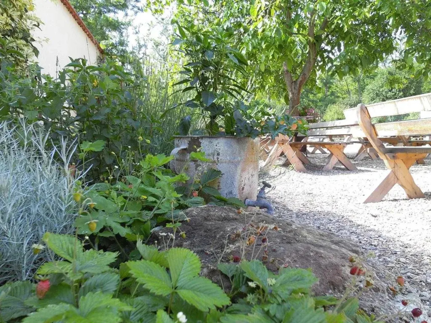 SRDEČNÁ - rodinný penzion a restaurace