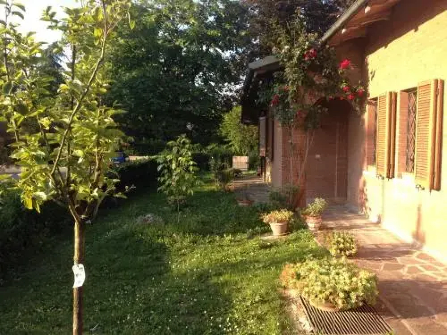 Villa Rosina