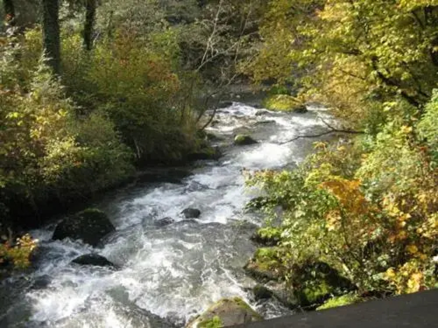 La Cure de Vernamiège