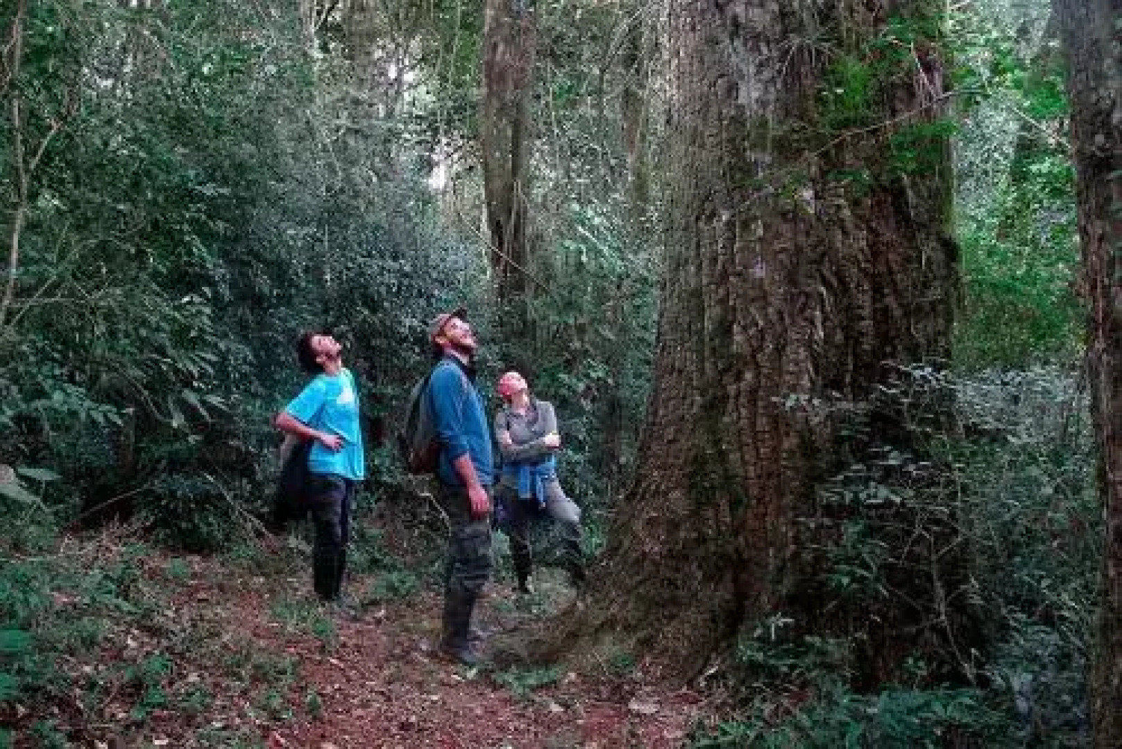 San Sebastian de la Selva