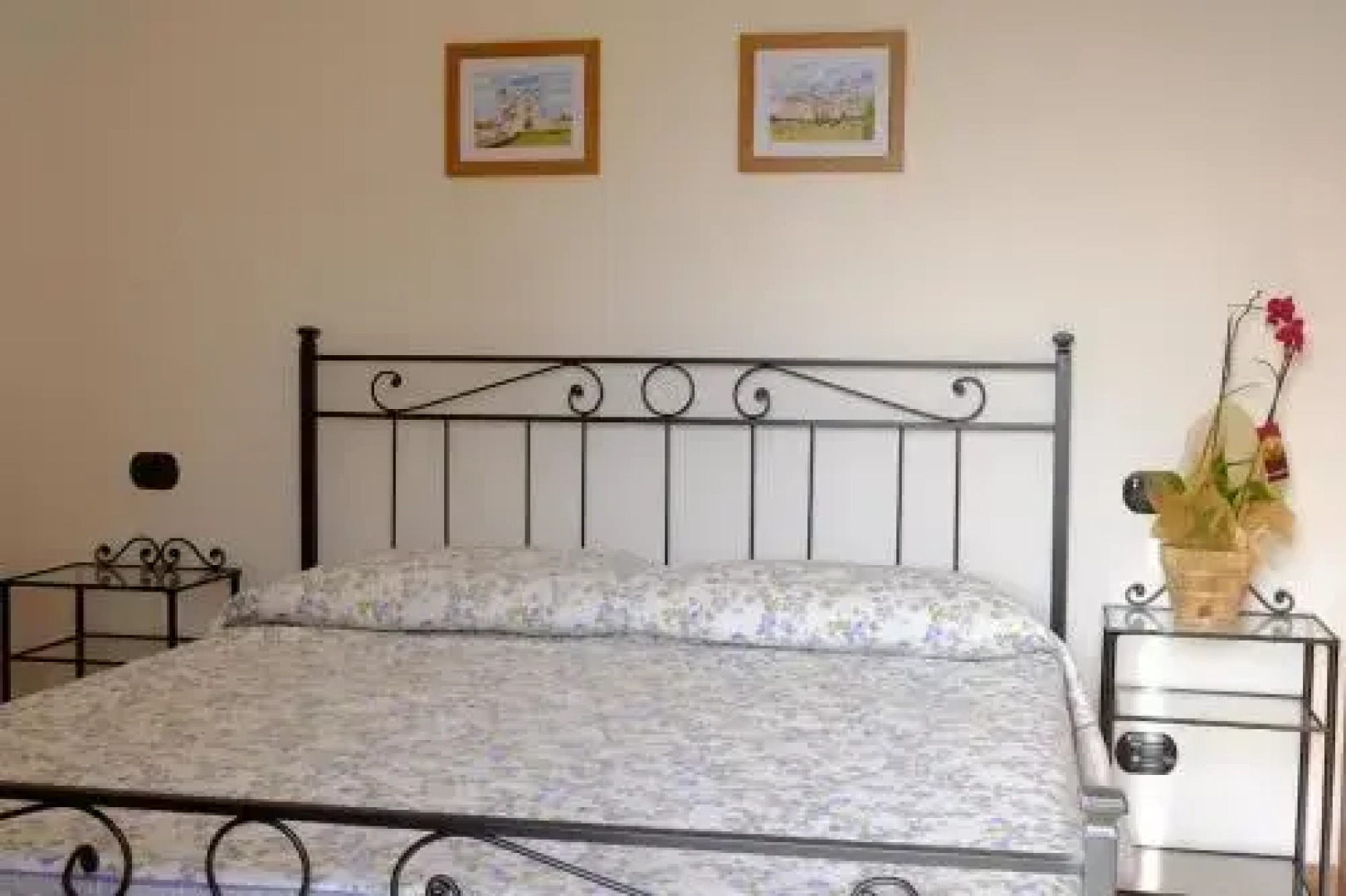 Sulla Strada Di San Francesco