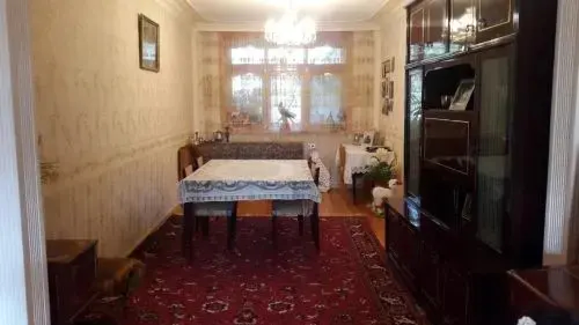 Ganja Comfort Apartment