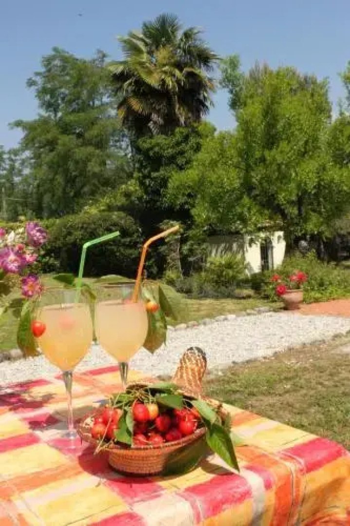 Agriturismo La Breda