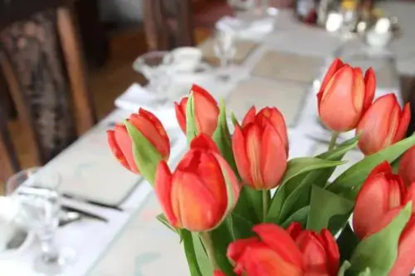 Sunny Cottage Guesthouse