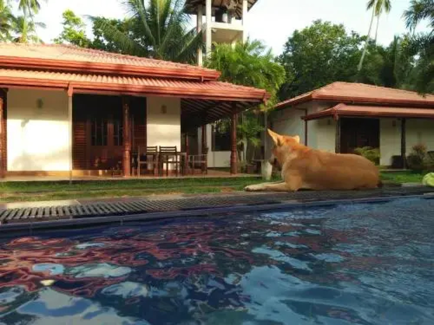 Coco Cabana