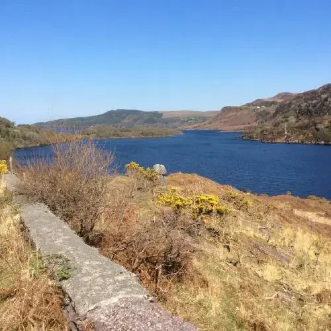 The Village House B&B