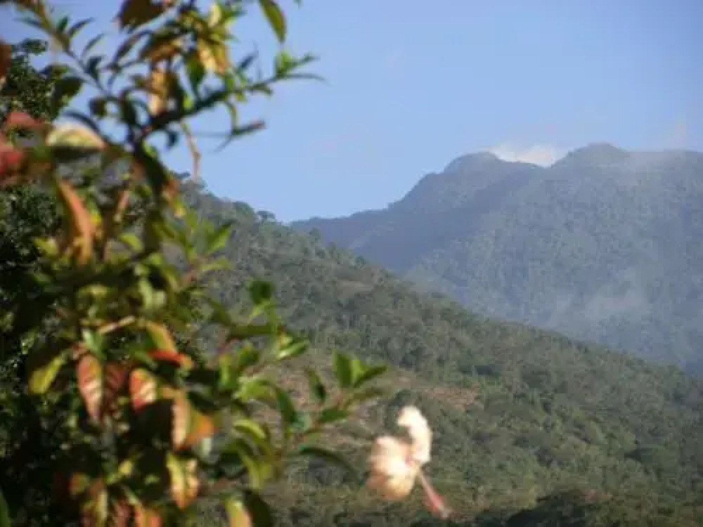 Chalés Som das Águas - Praia do Julião