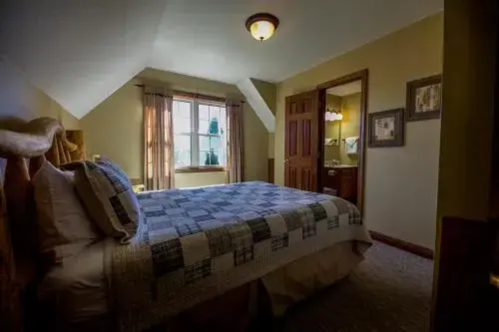 Coyote - Hocking Hills