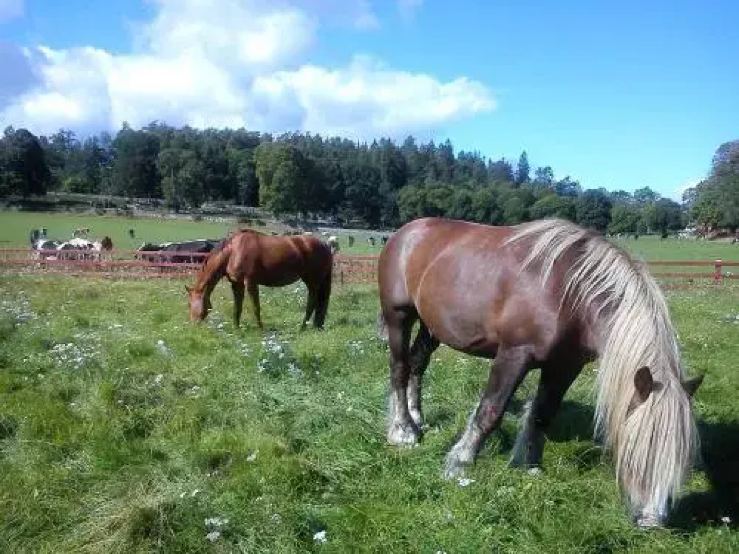 Jaktlyckan, Tuna Gård