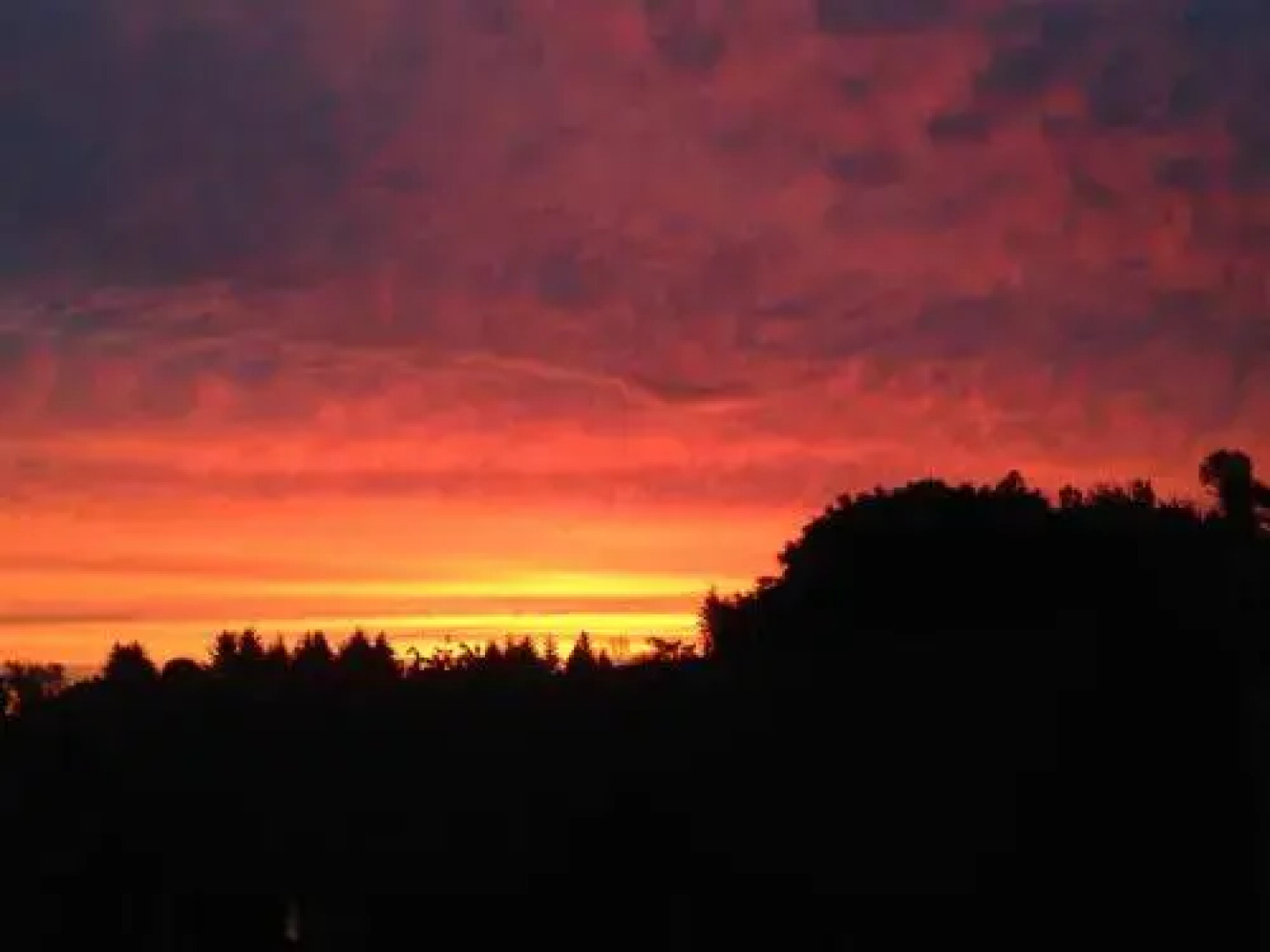 Bed and Breakfast Casita Grande Antumalén