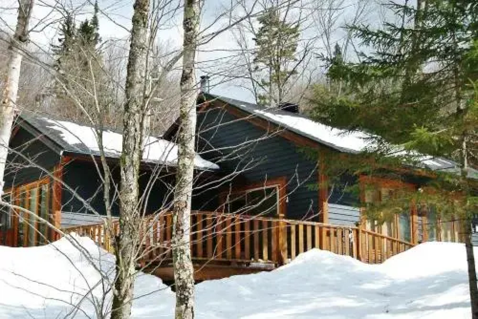 Les Chalets Alpins - Chemin Alpin