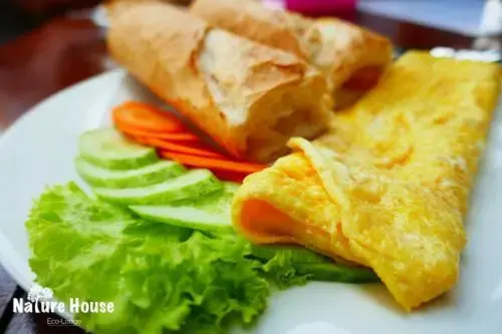 Nature House Eco-Lodge