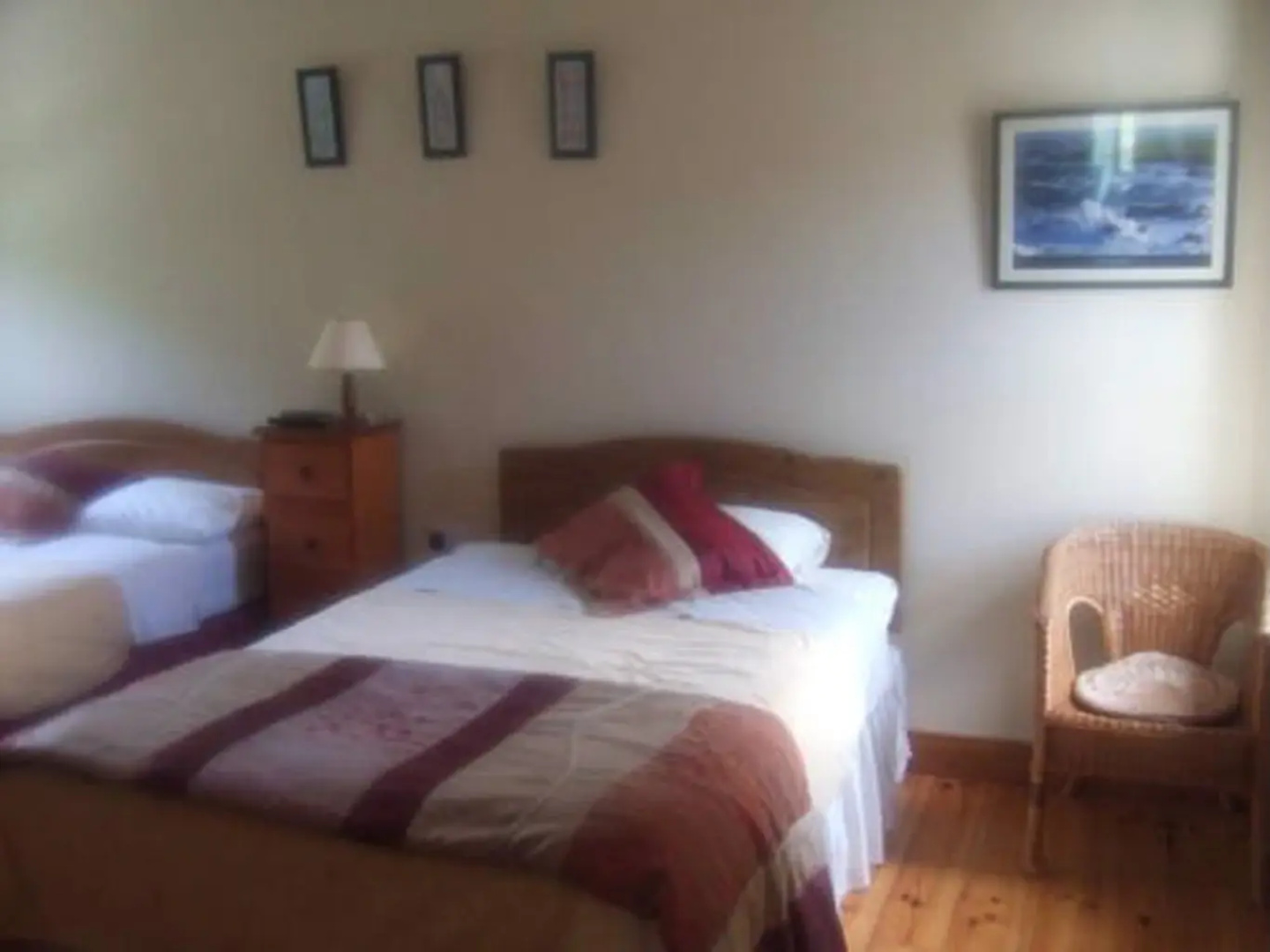 Elderberry B&B
