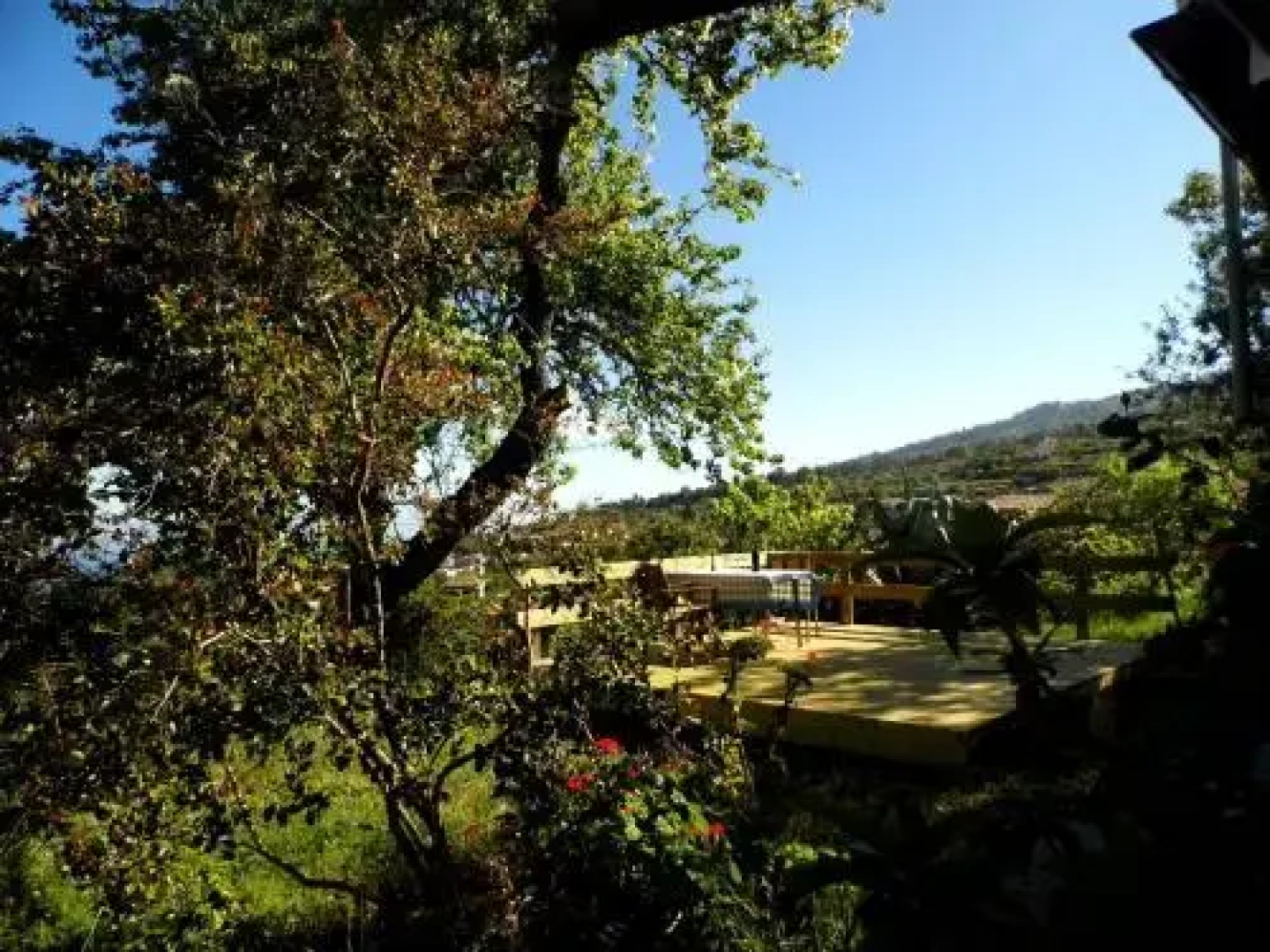 Casa Marena