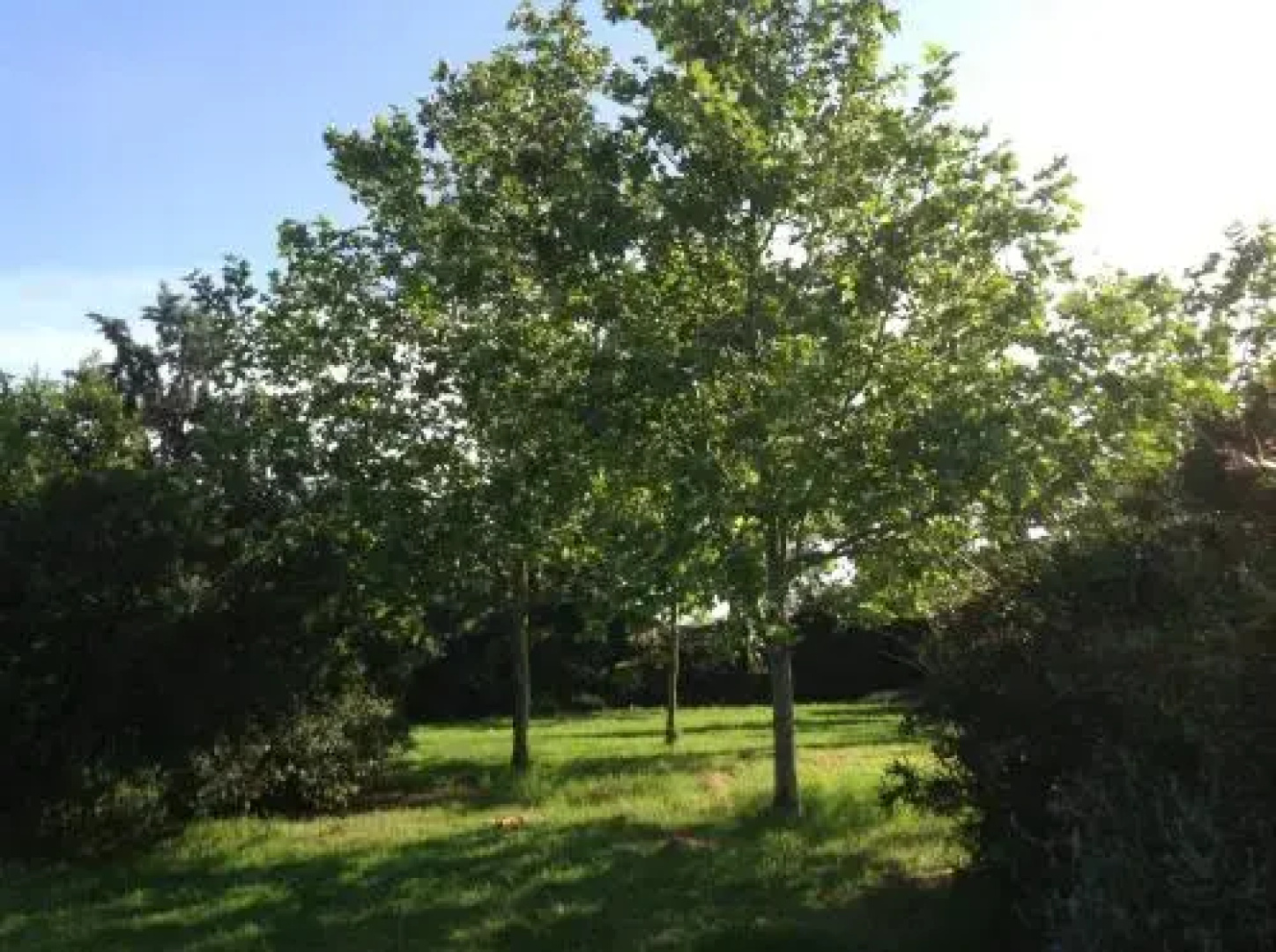 Agriturismo La Fattoria Del Mortelliccio