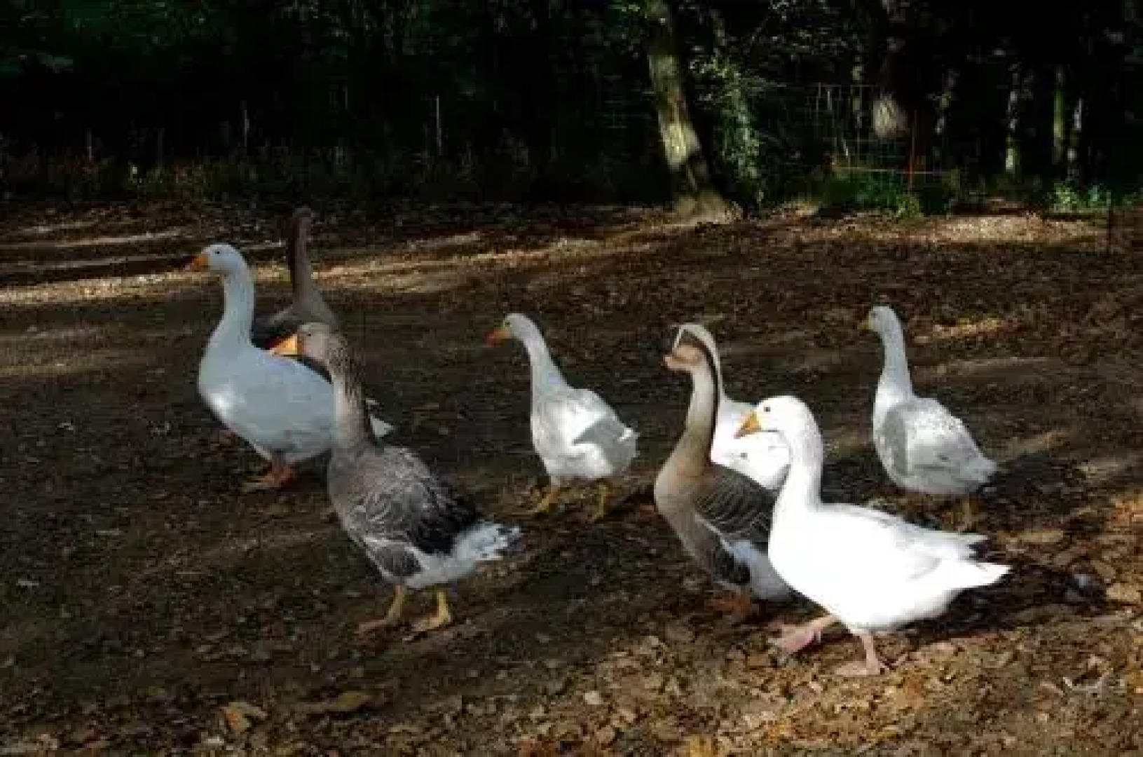 Auberge les Tables du Ban