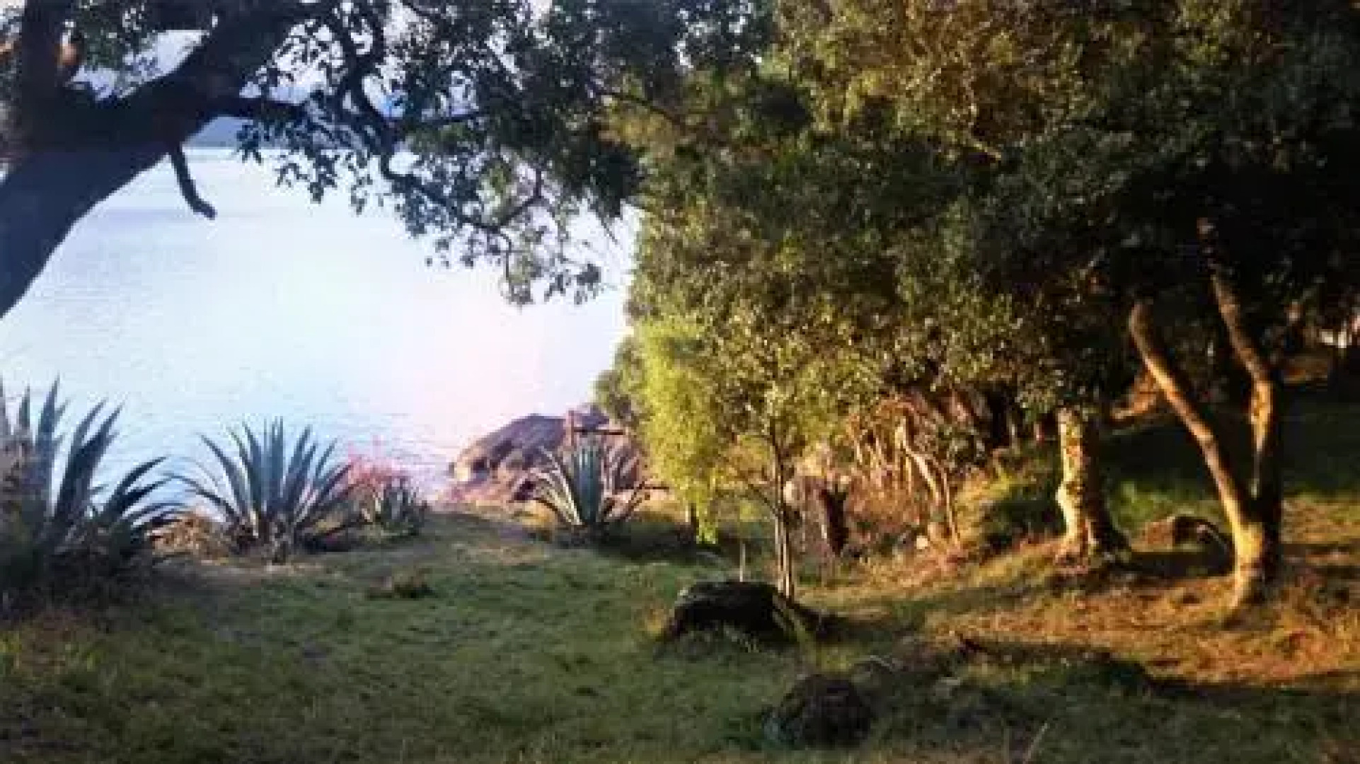 Cabañas Llifenativo