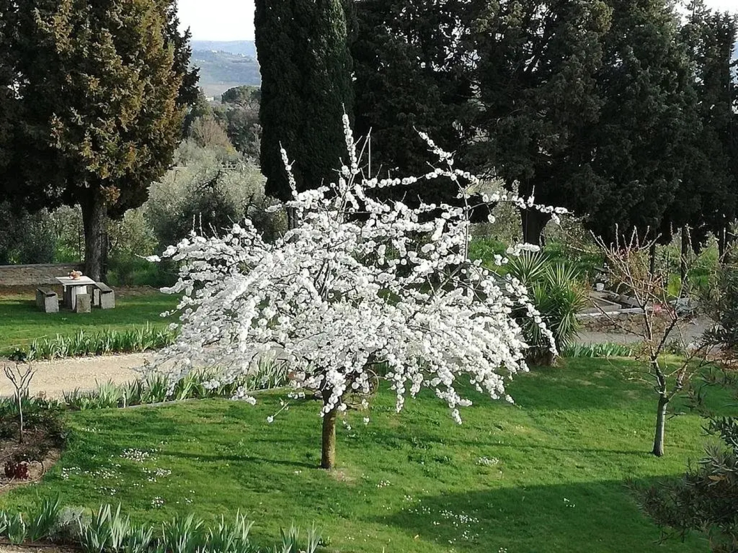 Agriturismo La Tinaia