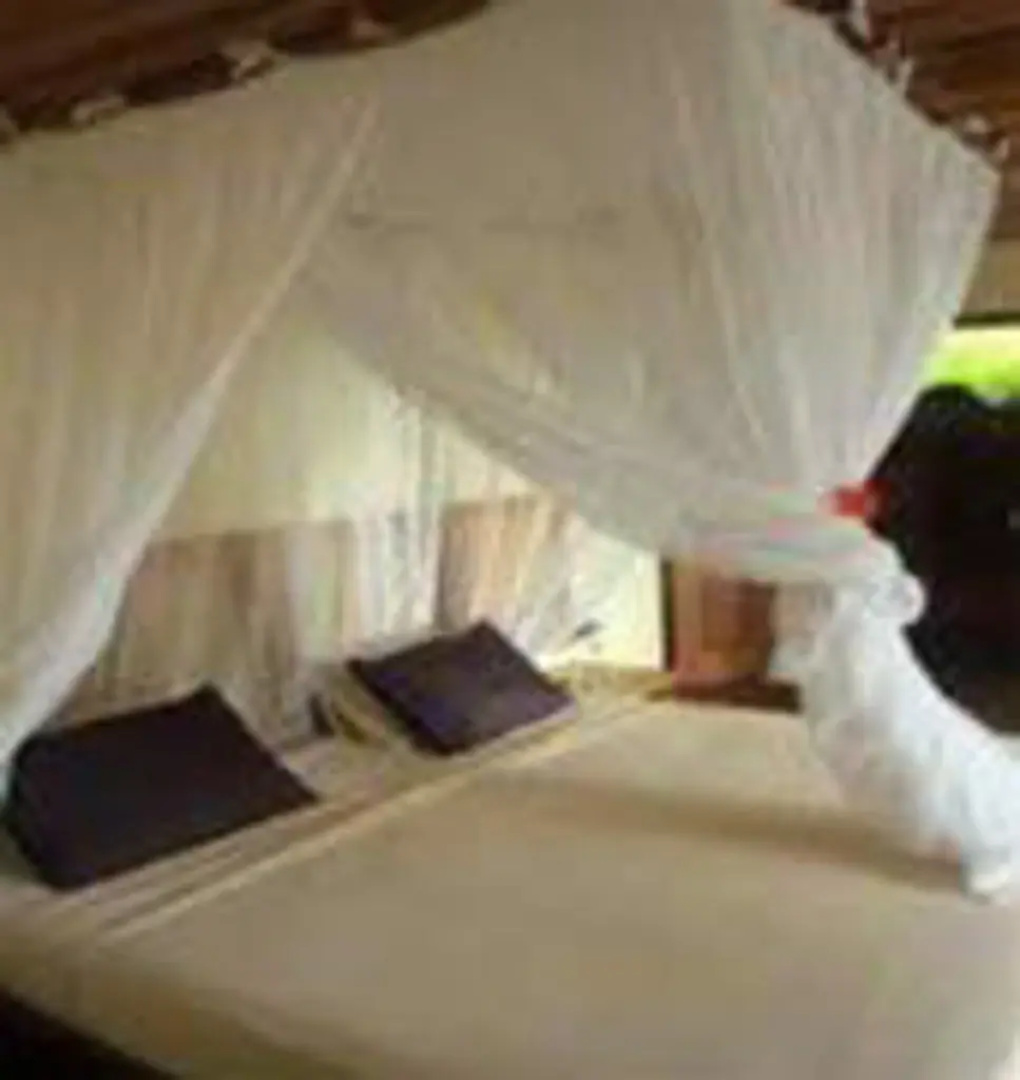 El Remanso Rainforest & Wildlife Lodge