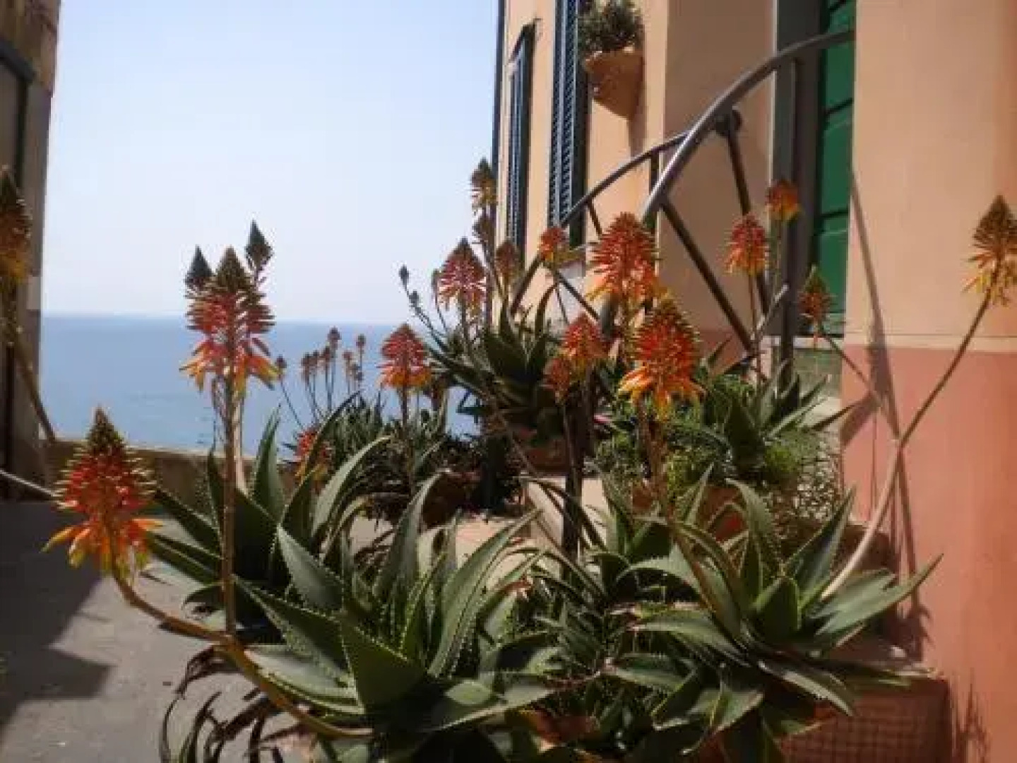 Arcipelago Toscano B&B