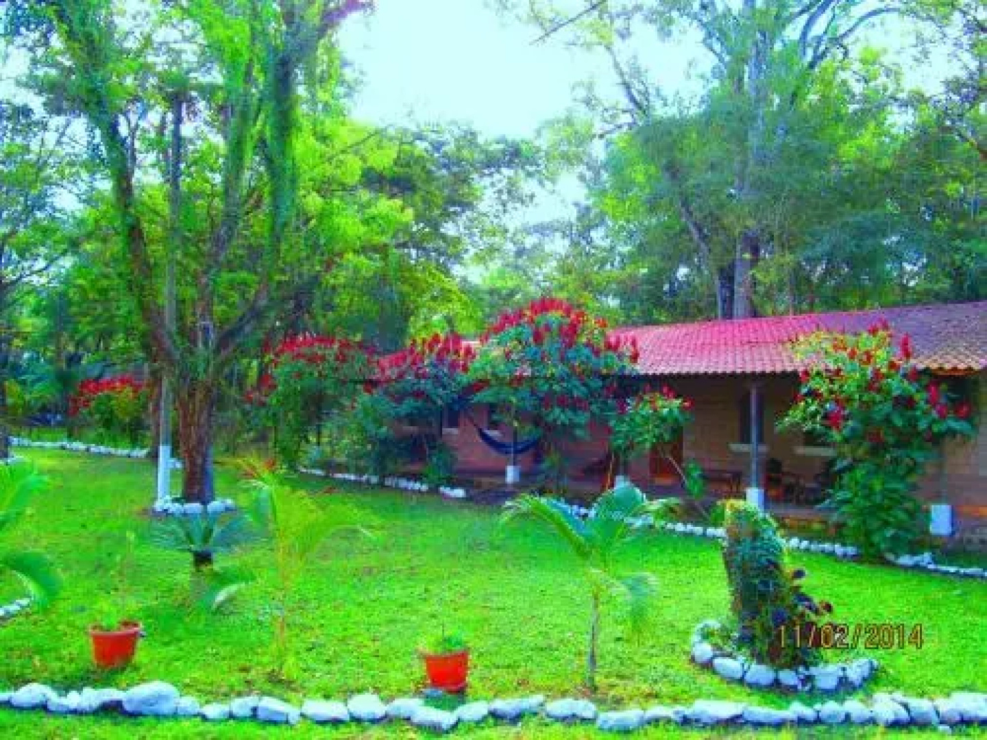 El Bosque Hotel
