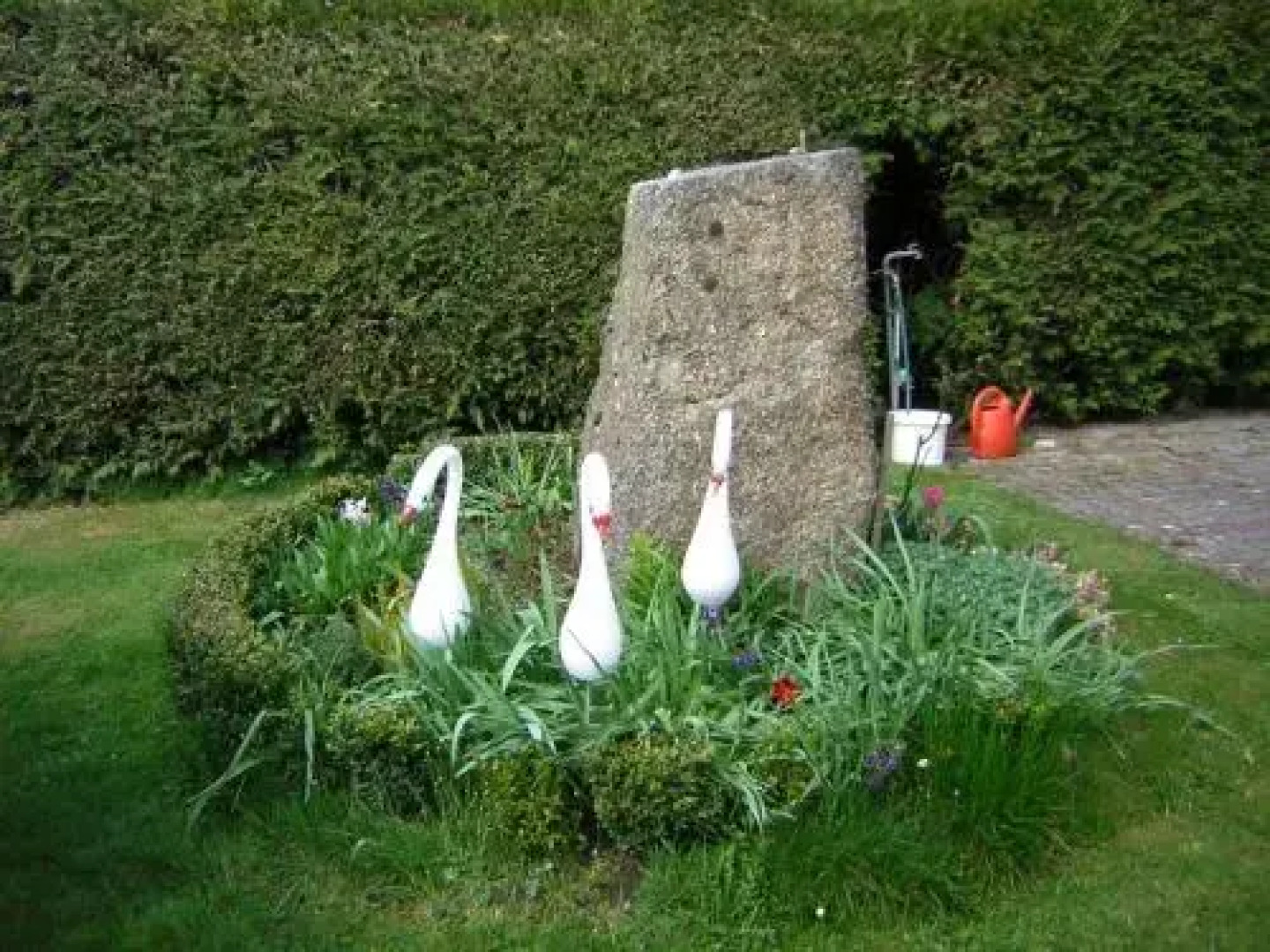 Gï¿½stehaus Tropf