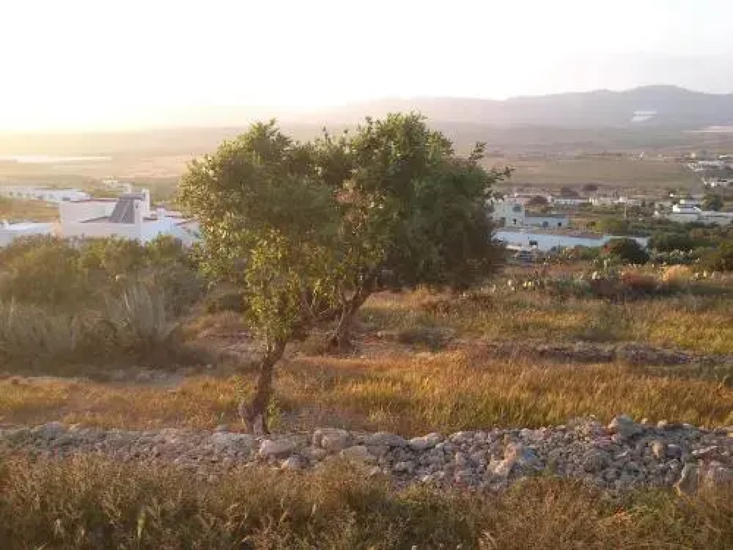 La Hierbaluisa