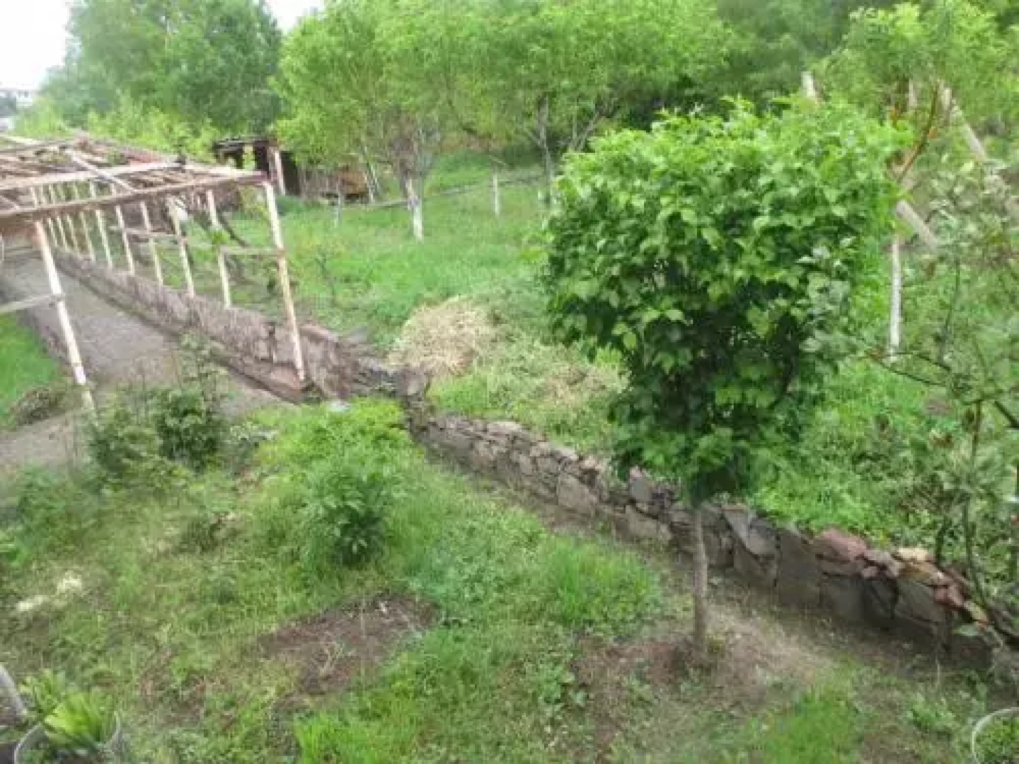 Shushan B&B