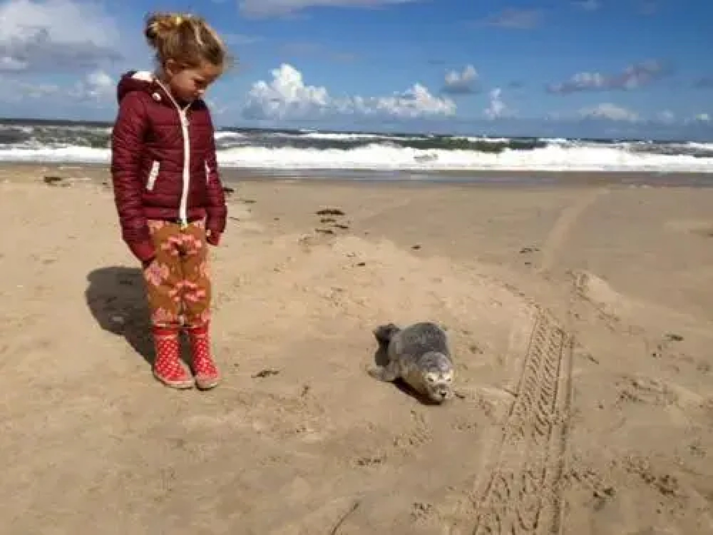 Witte huisje aan zee