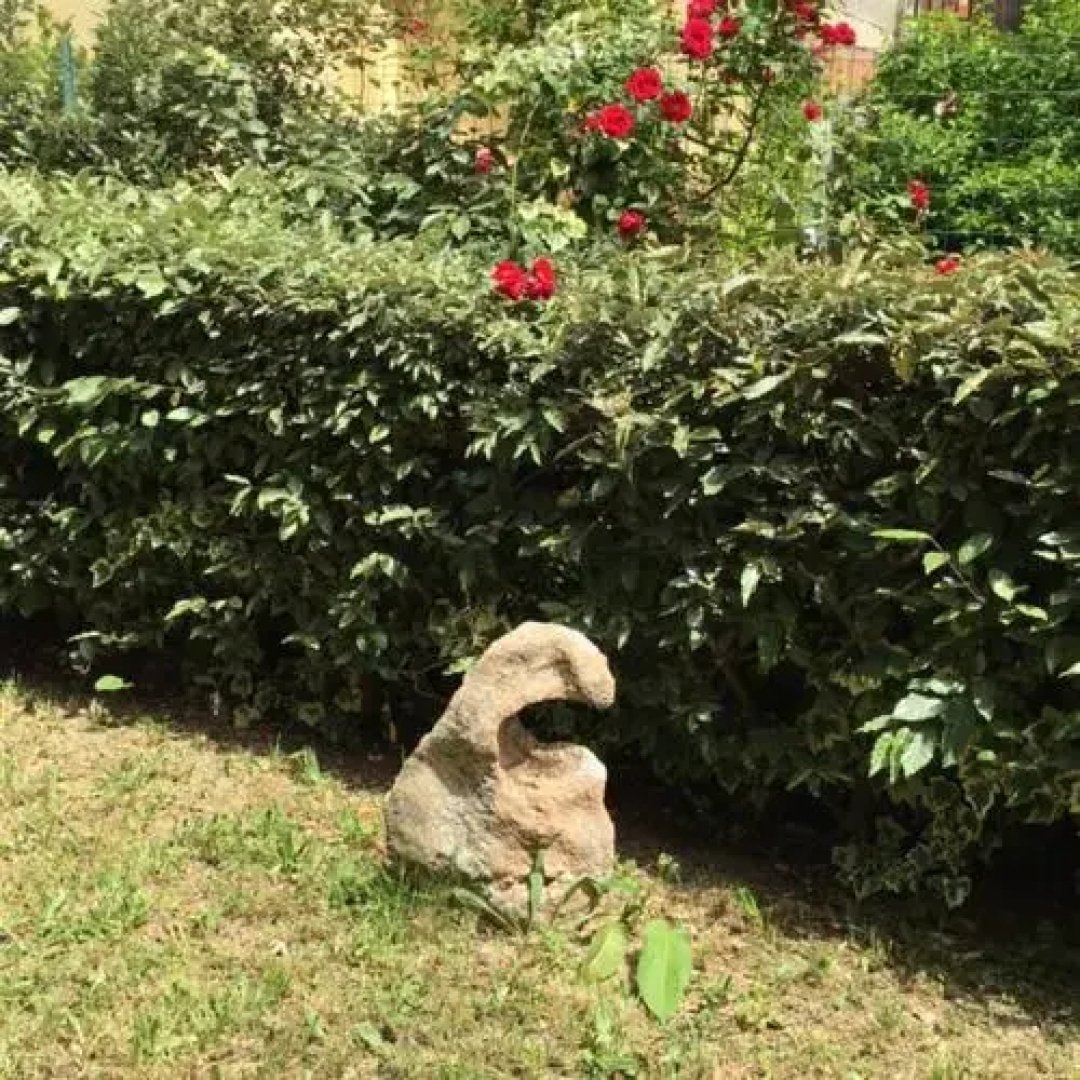 B&B La Dolce Sosta