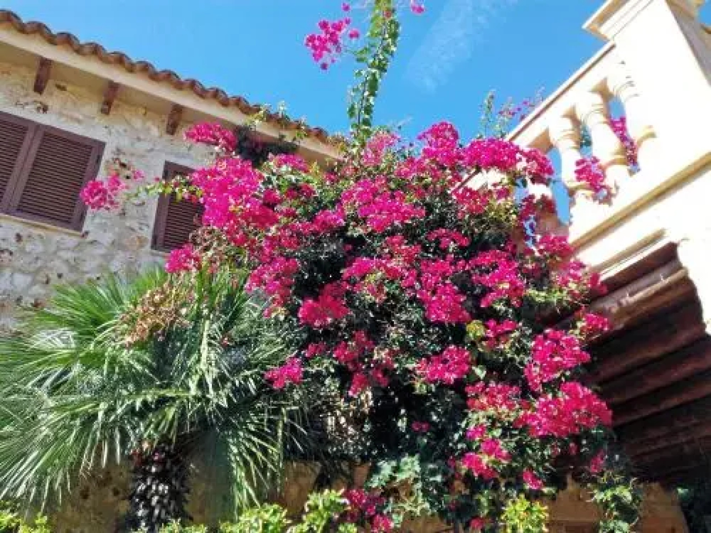 Villa Can Juanito