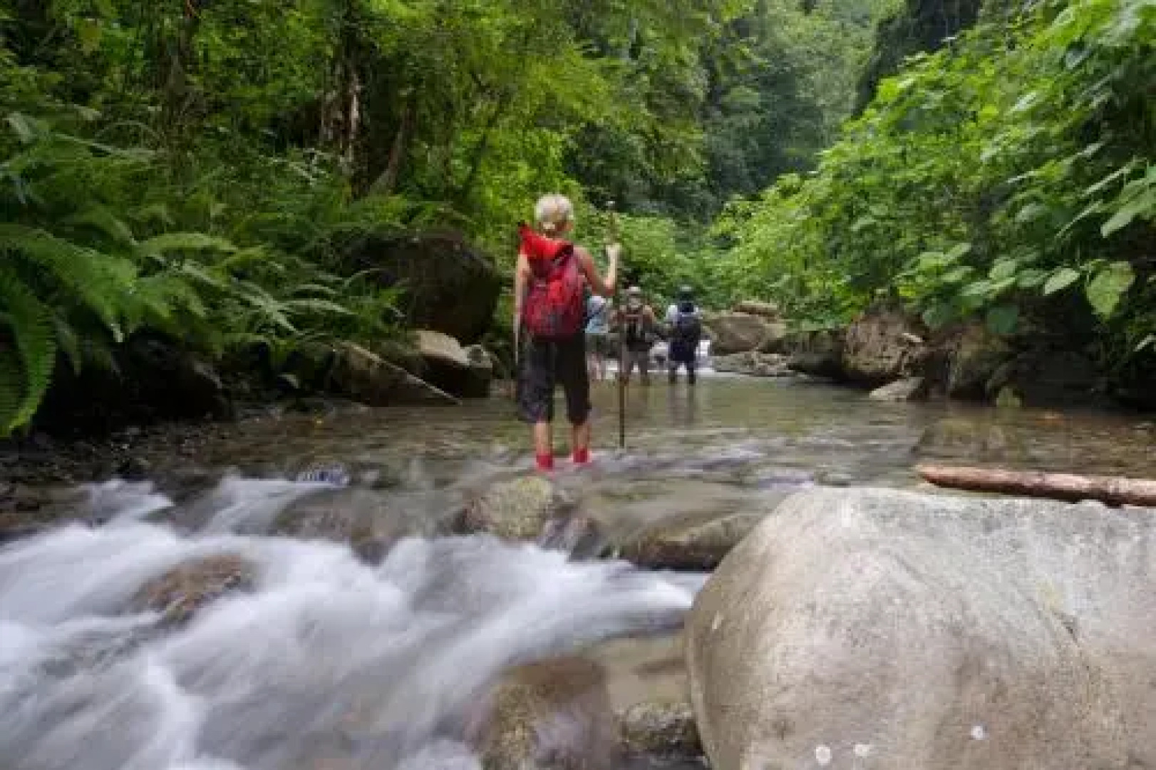 Selva Bananito Lodge