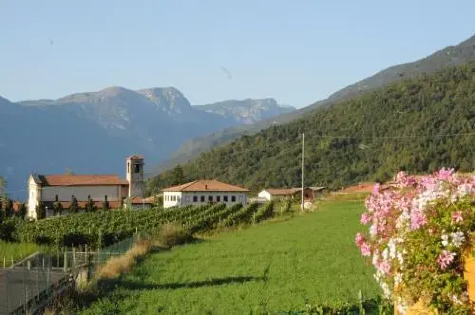 Agritur Campo Fiorito